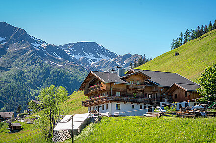 Selmerhof ab 2003